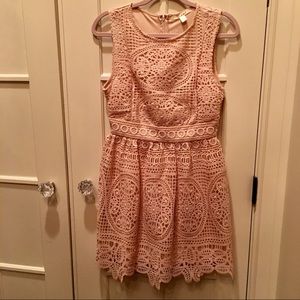 Nude Pink Miami Lace Fit and Flare Dress - NWT